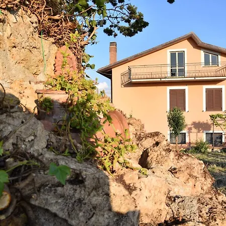 Movi House