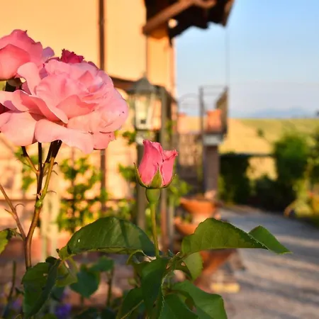 Movi House * Montecastrilli